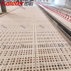 Rejilla de Plástico para Pisos de Gallineros, para Cría de Gallinas Ponedoras y Pollos de Engorde, Rejilla Elevada para Aves de Corral - Product Image 5