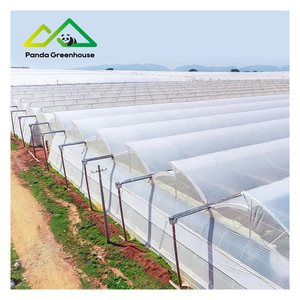 Polyfolie tunnelkas is zeer geschikt voor het kweken van diverse groenten, fruit en bloemen. - Product Image 6