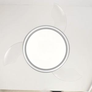 Wholesale Ceiling Fan With Light Manufacturers Modern LED Integrated Flush Mount Ceiling Fan Factory for Home Decoration - Product Image 3