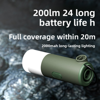 Lanterne de camping portable 3-en-1 avec pompe à air - LED en plastique IP44 résistante à l'eau rechargeable par USB-C portée 50M