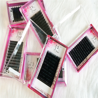 Ekstensi Bulu Mata Natural Eyelash Cashmere Ellipse Flat Lash Merek Sendiri Harga Grosir Ekstensi Bulu Mata