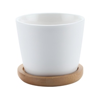 Mini-pots d'intérieur en grès au design le plus récent pour plantes