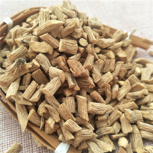 Chai Hu Grosir Herbal Kering Murni Alami Bupleurum Akar