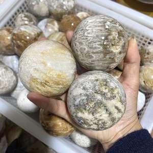 Esfera de Coral Fósil Natural Pulido al por Mayor, Piedra de Cristal Curativa para Decoración del Hogar y Regalos - Product Image 3