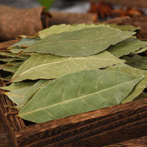 Daun Salam Kering Alami Utuh Laurus Nobilis Bay Leaf AD Kemasan Massal Kelas Terbaru Hasil Panen Terbaru Kosher Halal Dimasak Uap