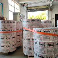 Produit antiparasitaire populaire pas cher grand papier piège à colle à mouches collant extérieur pour la famille contrôle des insectes jetable 480 heures