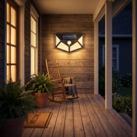 Lampe solaire de jardin à effet de projection d'ombres vacillantes, très vendue, à bon prix