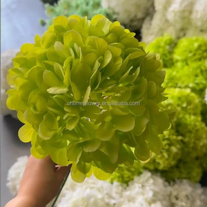 CM-TH1267 più venduto bianco verde singolo testa ortensia 20cm di seta ortensia fiore verde - Product Image 3