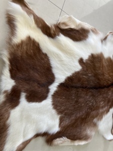 Hele Verkoop Fabriek Prijs Promotie Vloer Echte Schapenvacht Tapijt Echt Bont Tapijt Kort Haar Geitenhuid Tapijten Voor Thuis - Product Image 2