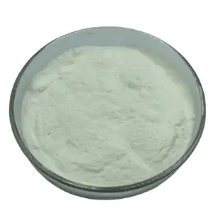 Hot Selling Weight Loss Food Grade Konjac Powder Extract 75% 90% 95% Glucomannan Konjac Powder