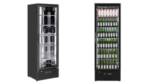 Bán Buôn Tùy Chỉnh Thương Mại 293L Dọc Thẳng Đứng Cao Bia Tủ Lạnh Showcase Máy Làm Lạnh Uống Mát Cho Bar Và Nhà Hàng - Product Image 2