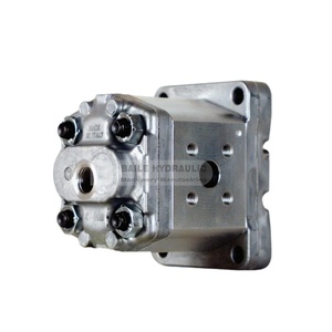 POMPE 1PR Série GEAR  Pompe à engrenages 1PR1.6 1PR2 1PR2.5 1PR3.3 1PR4.2 1PR5 1PR5.8 1PR6.7 1PR7.5 1PR9.2 1PR11.5 - Product Image 1