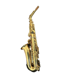 Tốt nhất bán EB alto sax OEM chất lượng tốt vàng sơn mài EB tone Alto Saxophone với cao <span class=keywords><strong>F</strong></span> & nhạc cụ woodwind - Product Image 4