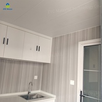 Maisonnette préfabriquée complète et populaire en forme de cabane Apple, en acier léger, portable, 20 pieds, 40 pieds, bureau modulaire, conteneur étanche
