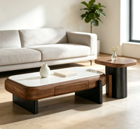 Ensemble de tables basses modernes en bois avec rangement créatif – Mobilier