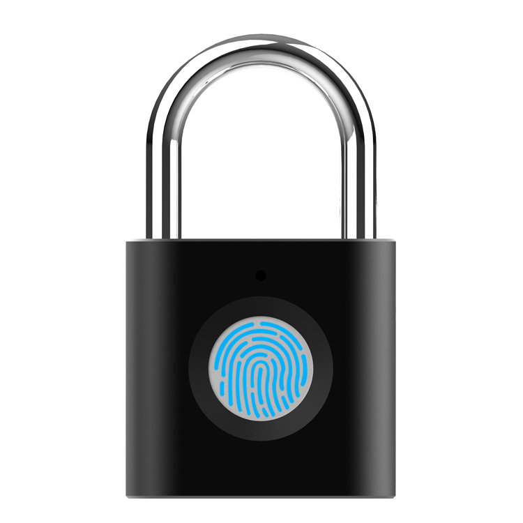 Двойной безопасный навесной замок с отпечатком пальца/умный биометрический замок для сумки/багажа