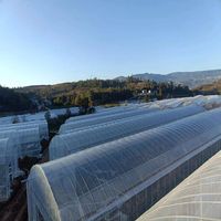 Serre Agricole pour Plantes Vertes, Kit de Serre Agricole, Structure de Serre, Ensemble Complet de Serre