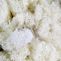 Bunga Gypsophila Dream Star Awet Alami untuk Dekorasi Pernikahan, Natal, Hari Ibu, dan Rumah - ETERNAL