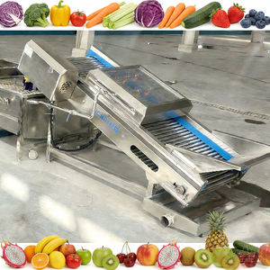 Lavadora Industrial de Verduras y Frutas con Sistema de Recirculación de Aire y Burbujas - Product Image 5