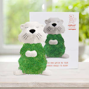 Poilu <span class=keywords><strong>castor</strong></span> Chia planteur Kit de culture Chia animaux de compagnie pour enfants animaux classique lama Chia animal de compagnie maison bureau plante décor cadeau - Product Image 2