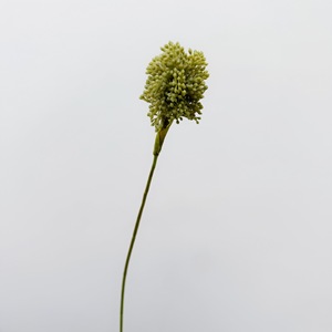 Fleur artificielle W-A0232 à 3 têtes, toucher réel, boule d'oignon vert, fleur de pissenlit, branche de plante à baies, arrangement pour la décoration intérieure - Product Image 5