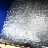 Machine à glaçons commerciale CE de 400 kg/24h, alimentation 220V, garantie 2 ans, vente en gros, directement de l'usine