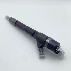 Injecteur Common Rail Crystal Shine 0445110248 pour injecteurs de carburant Iveco, débit standard - Product Image 1