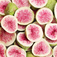 Natuurlijk gevriesdroogde vijgenschijfjes, bulk FD fruit grondstof, aangepaste verpakkingen & private label beschikbaar