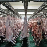 Machine d'abattage de bétail et de moutons à moteur en acier inoxydable, 100 animaux/jour, haute productivité pour l'abattage en abattoir