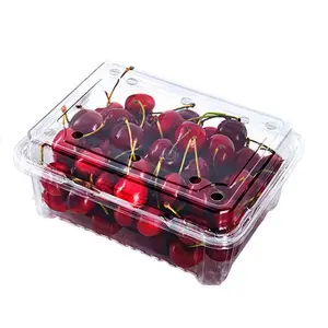 500g 1kg PET Einweg-Blister-Verpackungs box Obst Klarer Kunststoff-Clamshell-Behälter für Erdbeer beeren