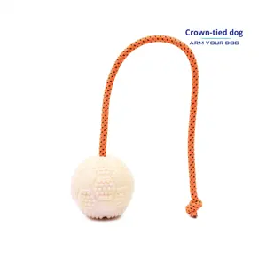 Balle <span class=keywords><strong>d</strong></span>'entraînement en toile <span class=keywords><strong>pour</strong></span> <span class=keywords><strong>chien</strong></span> factice Jouet interactif <span class=keywords><strong>pour</strong></span> animaux de compagnie Balle à mâcher robuste <span class=keywords><strong>pour</strong></span> l'entraînement à l'<span class=keywords><strong>obéissance</strong></span> - Product Image 3