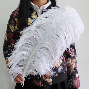 Vente en gros de grandes plumes d'autruche noires 75-80 CM de haute qualité plumes d'autruche moelleuses et lisses motif teint multicolore - Product Image 6