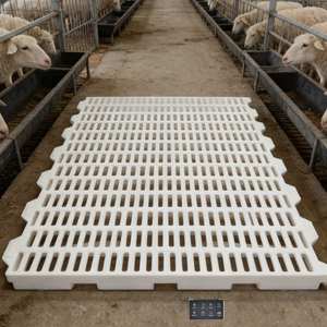 พื้นฟาร์มแบบมีร่องสำหรับ<span class=keywords><strong>แพะ</strong></span>ที่ได้รับการรับรองมาตรฐานความปลอดภัยด้าน<span class=keywords><strong>อาหาร</strong></span>และเป็นมิตรต่อสิ่งแวดล้อม แผ่นพื้นฟาร์มแบบประกบกันได้ พื้นพลาสติกสำหรับเลี้ยงสุกร - Product Image 1