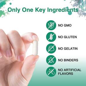 Kapsul Dukungan Hati Organik OEM/ODM/OBM TUDCA Asam Tauroursodeoxycholic TUDCA 500mg untuk Detoksifikasi dan Pembersihan Hati TUDCA - Product Image 3