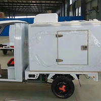 Tricycle frigorifique électrique à alimentation CC avec réfrigérateur à refroidissement par air à température unique