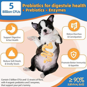 Poudre multivitaminée pour chiens et chats OEM/ODM 15 en 1, 90 doseurs, vitamines, oméga 3, glucosamine, probiotiques, 2,5 kg, absorption rapide - Product Image 3