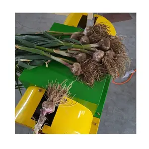 High efficiency low cost and high profits Automatic stainless steel Garlic RootFlat Cutter Machine