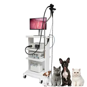 Üretici entegre kamera sistemi yüksek çözünürlüklü veteriner endoskopi Pet endoskop
