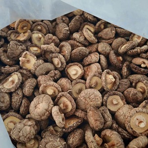 Số lượng lớn <span class=keywords><strong>Shiitake</strong></span> nấm khô Trung Quốc ăn được Hữu Cơ mycological Herb Xiang gu cho nấu ăn/chiết xuất/bột với giá nhà máy - Product Image 4