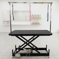 Table de toilettage électrique professionnelle pour animaux de compagnie, motorisée, hauteur réglable, station de toilettage pour chiens, surface antidérapante, portable, rose, de type bureau