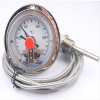 100mm High Temperature Pressure Type Capillary Thermometer Electronic Temperature Gauge