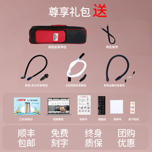 Feifan Melodica 37-Key Professional <b>Instrument</b> With Pickup For Students Adults Performances - Product Image 5