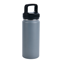 Vaso aislado de acero inoxidable 304 de 500 ml con tapa de plástico para oficina