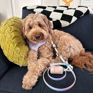 Ensemble collier, laisse et harnais pour chien Roki, rose clair, doux, confortable, réglable, en polyester, avec sac à déjections pour les promenades quotidiennes. - Product Image 3