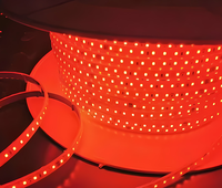 Bande LED étanche en silicone 2835 AC 220V 110V 100M/ROULEAU 1000M/ROULEAU 3000K 6000K IP65 IP68 pour extérieur