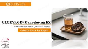 Líquido de extracto de cacao a base de hierbas para la salud del cuero cabelludo y la protección de la fuerza del folículo - Product Image 5