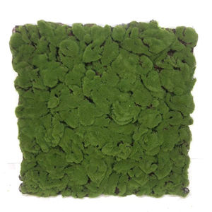 Panel de Pared de Césped Artificial de 52x52cm, Tapete de Musgo Artificial Verde para Decoración de Paredes de Interiores y Exteriores de Hogares y Hoteles - Product Image 3