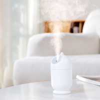 Vente en gros 100ml Mini USB humidificateur électrique Portable bureau chambre brouillard d'air pour la maison nouveauté brouillard atomiseur ODM coton ménage