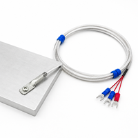 Sensor Suhu RTD Permukaan PT100 3-Kawat dengan Kabel Baja Anti Karat Terjalin Tahan Suhu Tinggi, Terminal U, Pengukuran Suhu Cetakan, OEM