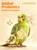 Nourriture pour oiseaux, bâtonnets croustillants pour perroquets, friandises pour perroquets, nourriture pour perroquets, bâtonnets à mâcher pour perroquets, personnalisables, OEM